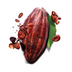 #3226 Heidi Dark 85 Bite