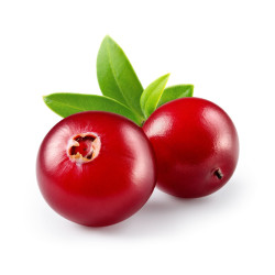 #3228 Heidi Dark Brusnica Bite