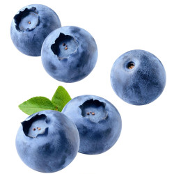 #3231 Heidi Dark Čučoriedka Bite