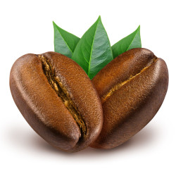 #3233 Heidi Dark Espresso Bite