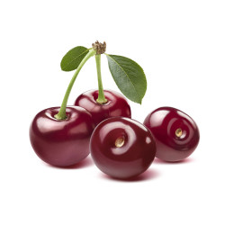 #3243 Heidi Dark Višňa Bite