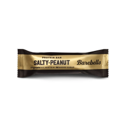 #3290 2731-1_proteinbar-saltypeanut-55-g
