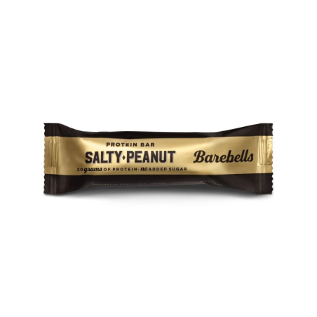 #3290 2731-1_proteinbar-saltypeanut-55-g